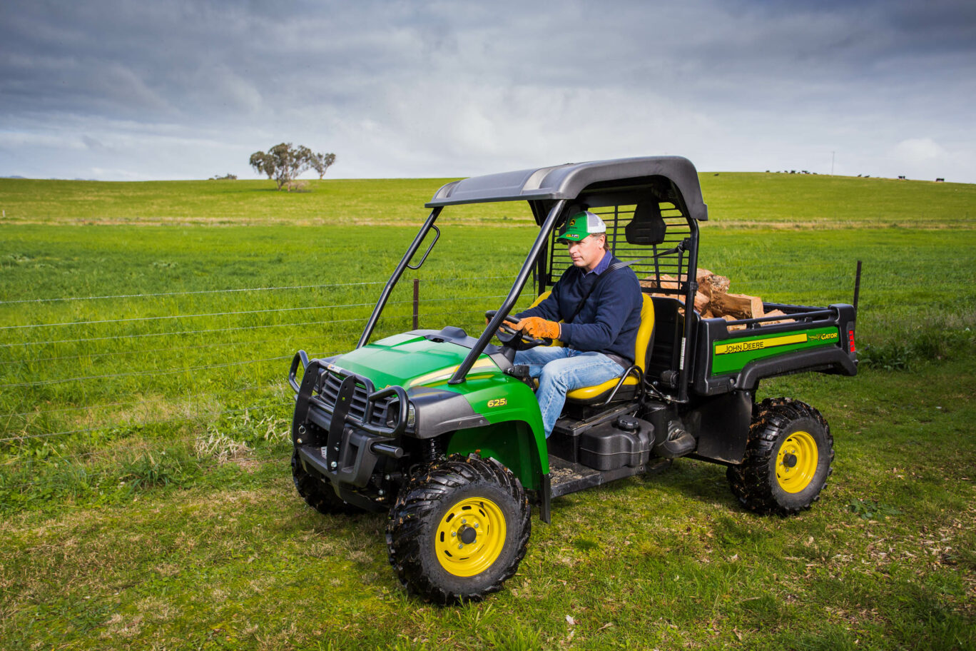 Lawn Care In Winter